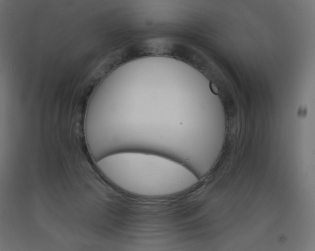 X0000093520553200710121130
