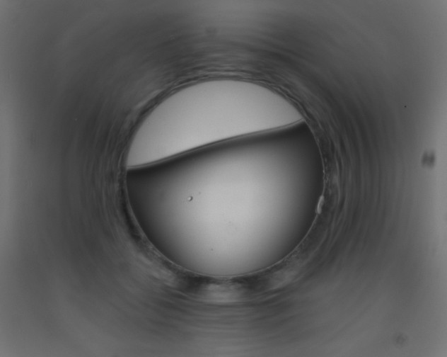 X0000093520556200710121130