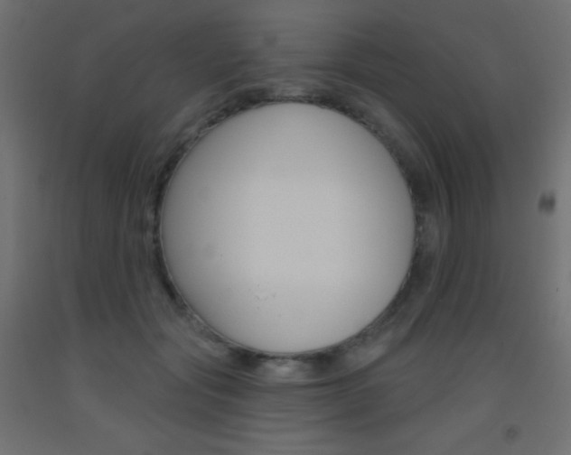 X0000093520557200710121130