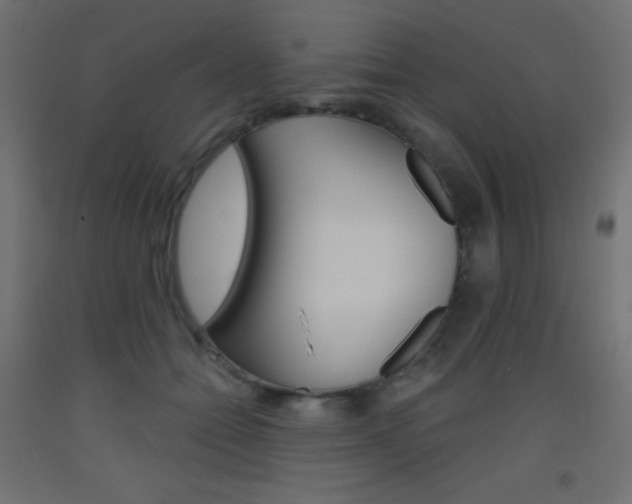 X0000093520558200710121130