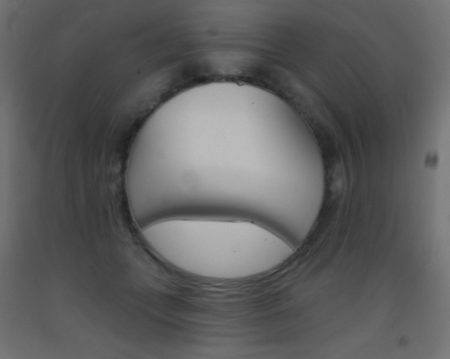 X0000093520559200710121130