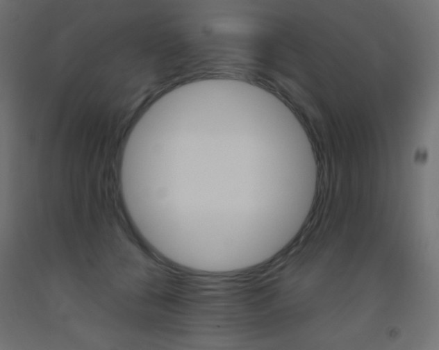 X0000093520560200710121130