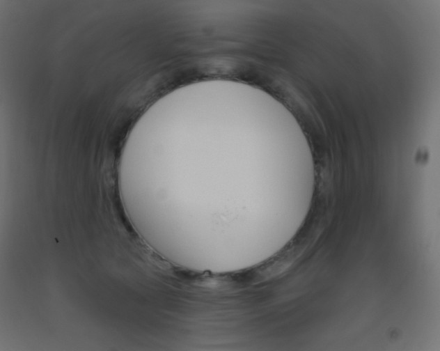 X0000093520561200710121130