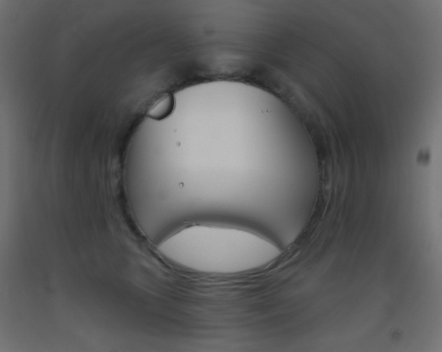 X0000093520563200710121130