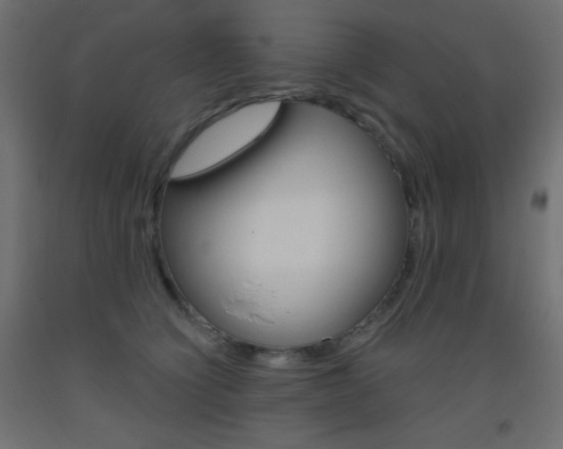 X0000093520564200710121130