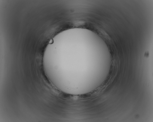 X0000093520565200710121130