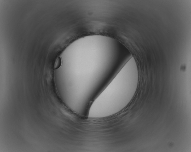 X0000093520566200710121130
