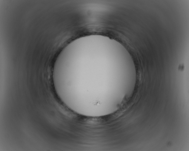 X0000093520567200710121130