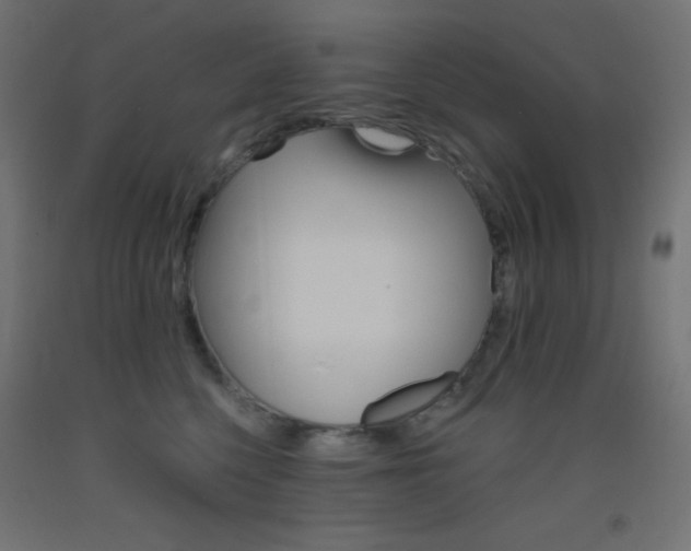 X0000093520568200710121130
