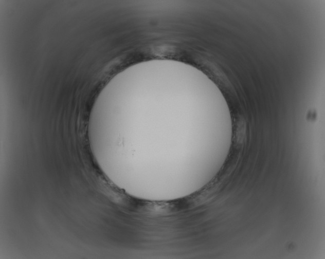 X0000093520569200710121130
