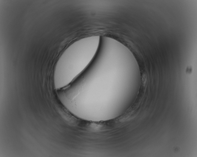 X0000093520570200710121130