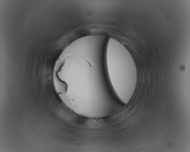 X0000093520571200710121130