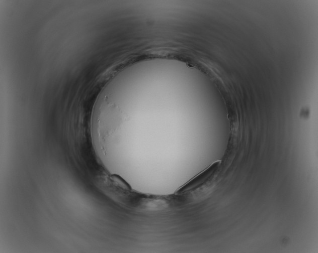 X0000093520572200710121130