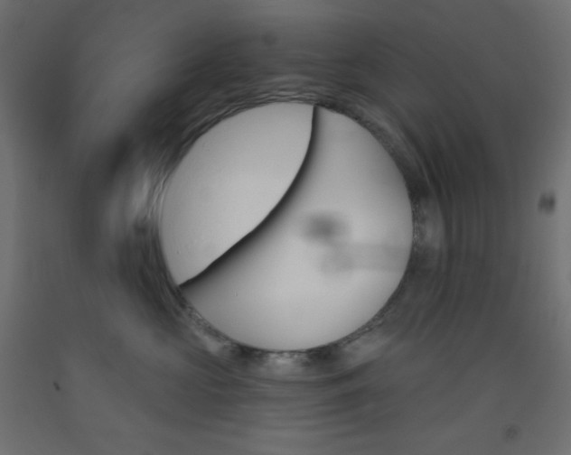 X0000093520573200710121130