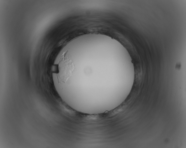 X0000093520574200710121130