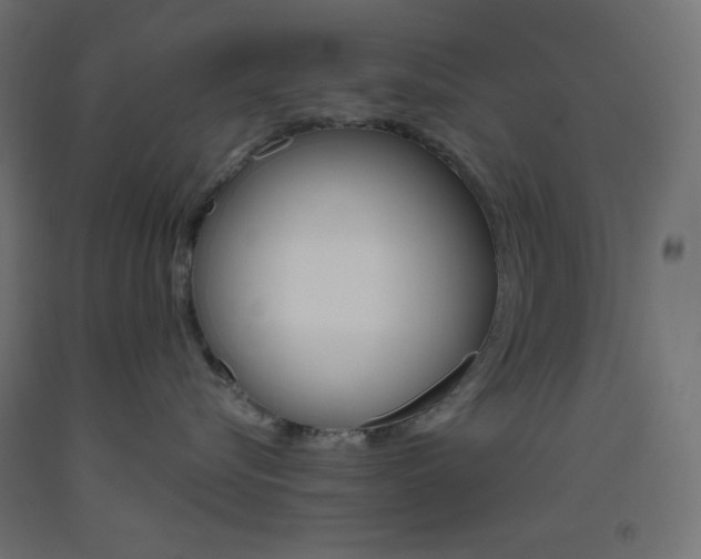 X0000093520576200710121130