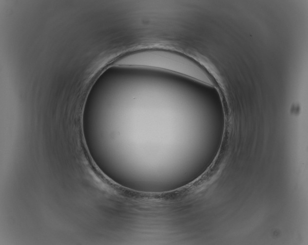 X0000093520577200710121130