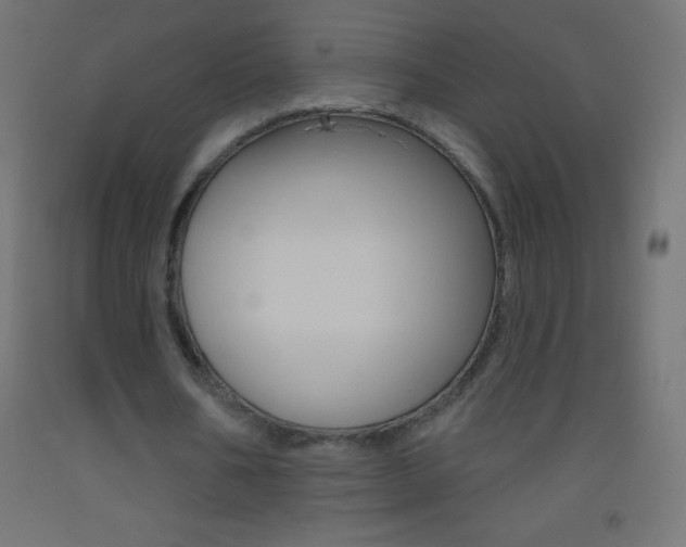 X0000093520578200710121130