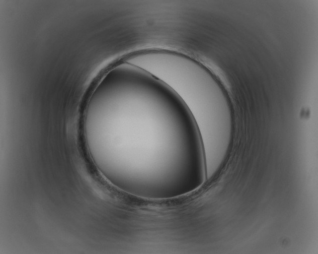 X0000093520580200710121130