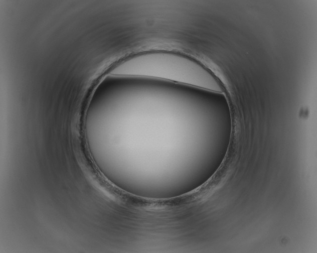 X0000093520581200710121130