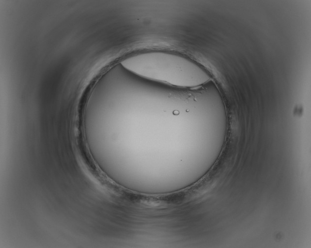 X0000093520582200710121130