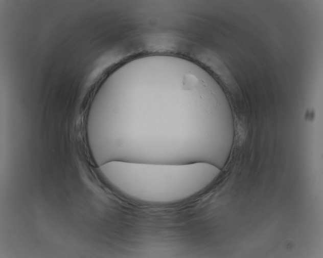 X0000093520583200710121130