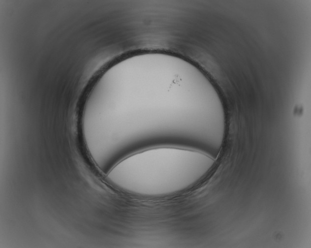 X0000093520584200710121130