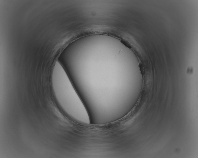 X0000093520585200710121130