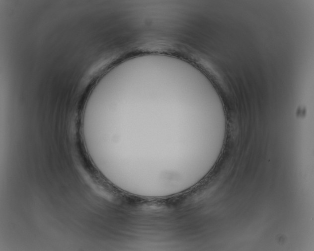 X0000093520586200710121129