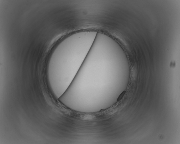 X0000093520587200710121129