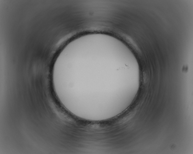 X0000093520588200710121129