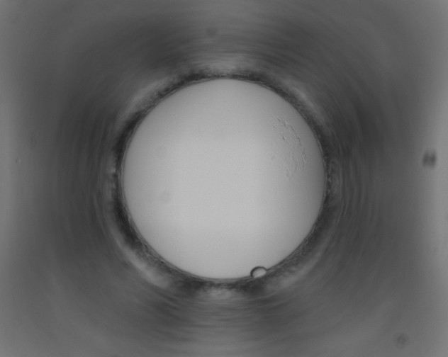 X0000093520590200710121129