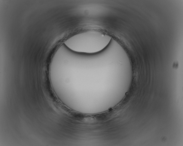 X0000093520591200710121129