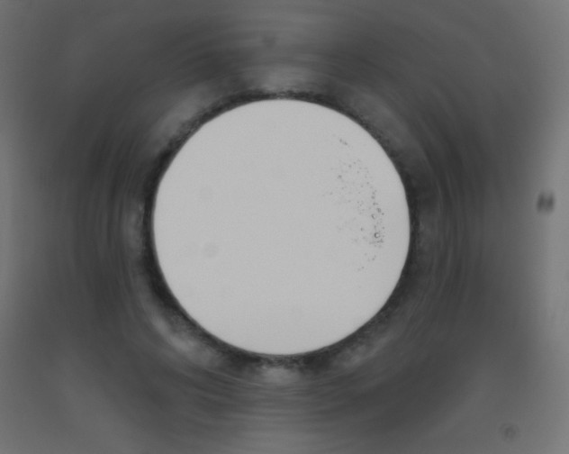 X0000093520592200710121129