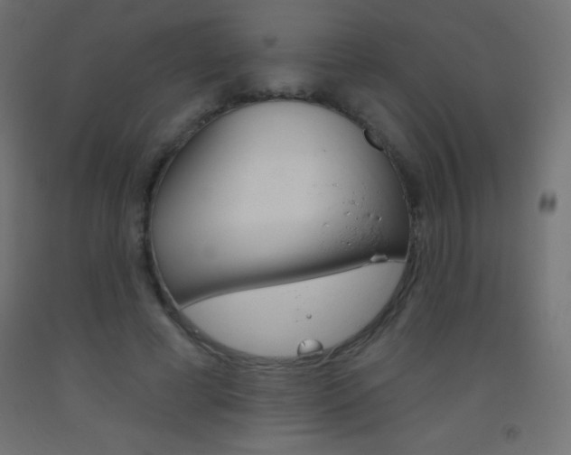 X0000093520593200710121129
