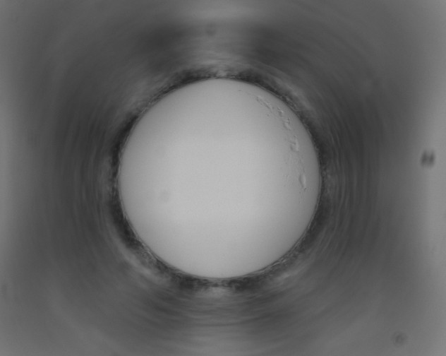 X0000093520594200710121129