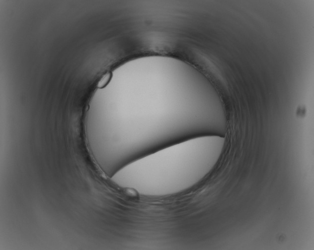X0000093520595200710121129