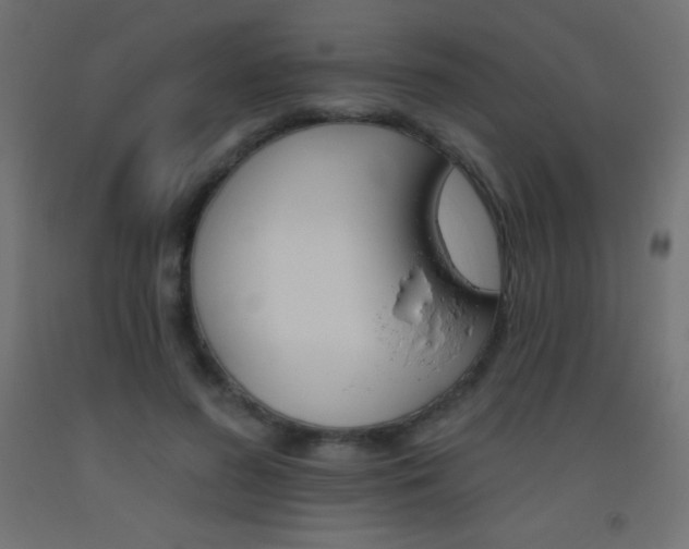 X0000093520596200710121129