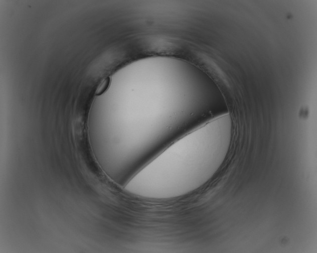 X0000093520597200710121129