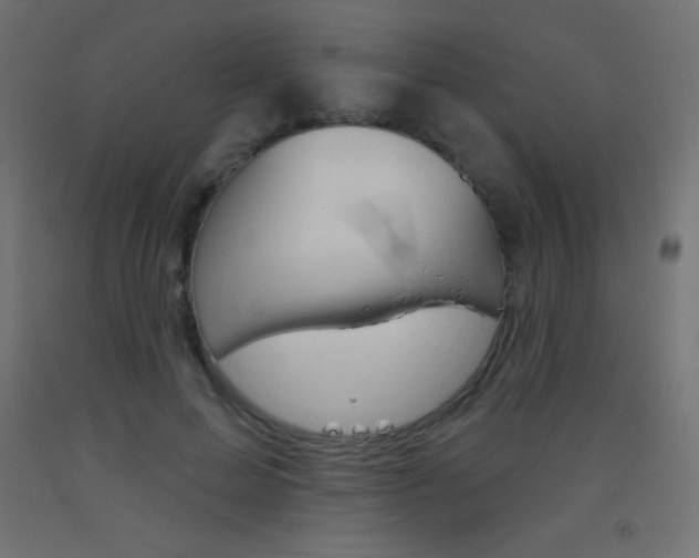 X0000093520599200710121129