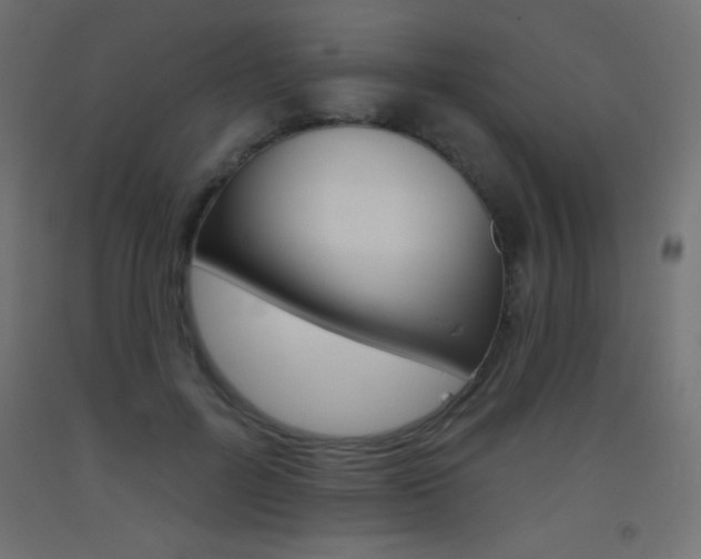 X0000093520600200710121129
