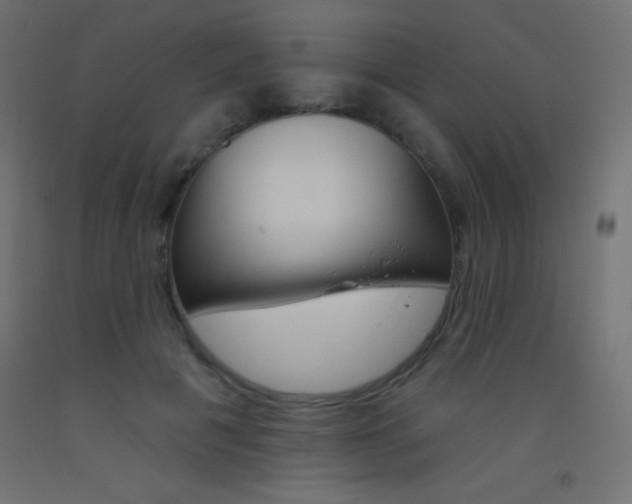 X0000093520601200710121129