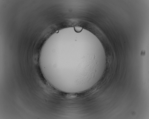 X0000093520602200710121129