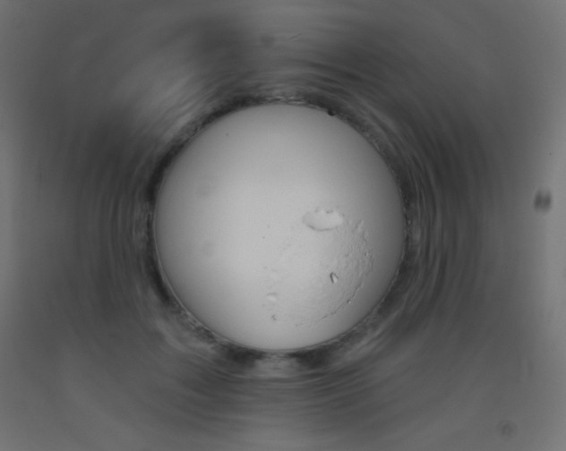 X0000093520603200710121129