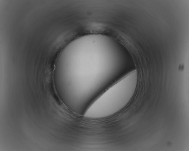X0000093520604200710121129