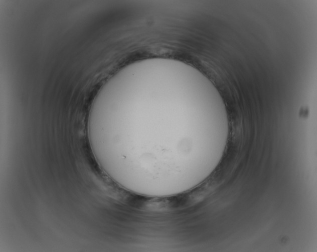 X0000093520606200710121129