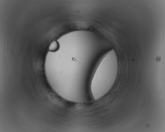 X0000093520608200710121129