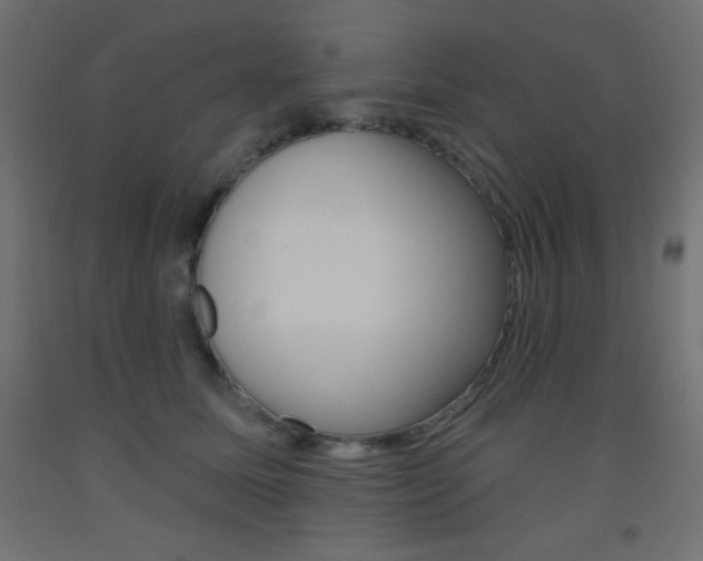 X0000093520611200710121129