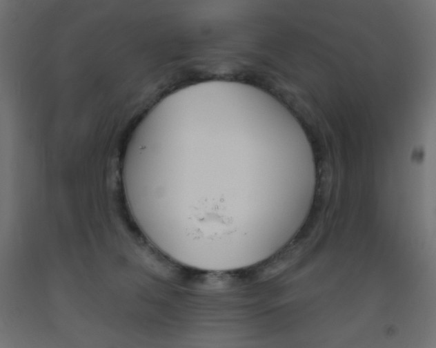 X0000093520612200710121129