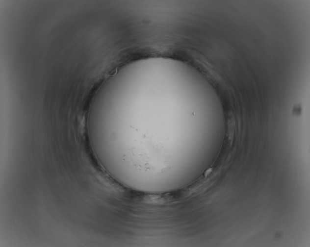X0000093520613200710121129